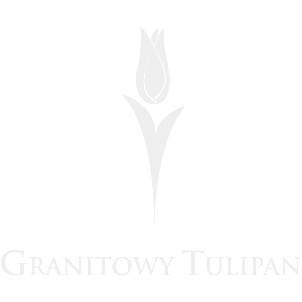 tulipan